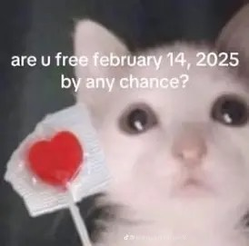 Cat asking for Valentine?